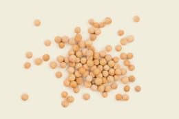 rp293-fb-kambodscha-4-260x173