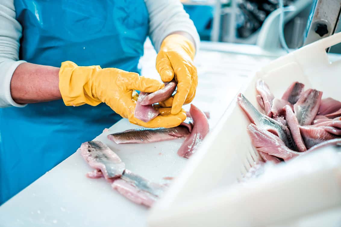 rp293-pr-friesenkrone-feinkost-1