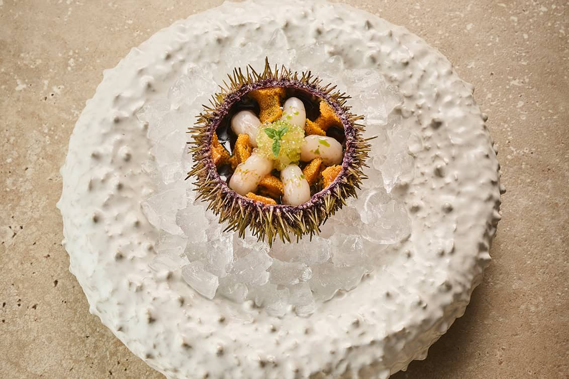 rp293-spst-hangar7-10