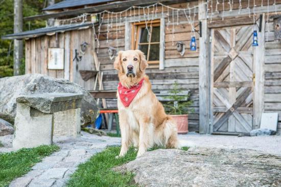 NaturHundeHotel Bergfried Rolling Pin