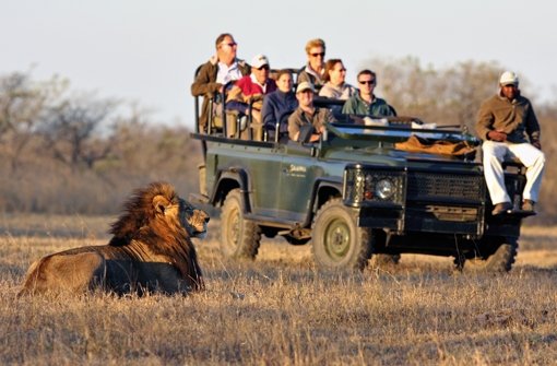 tourismus-safari-nordafrika