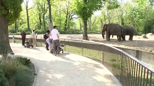 zoo-tierpark