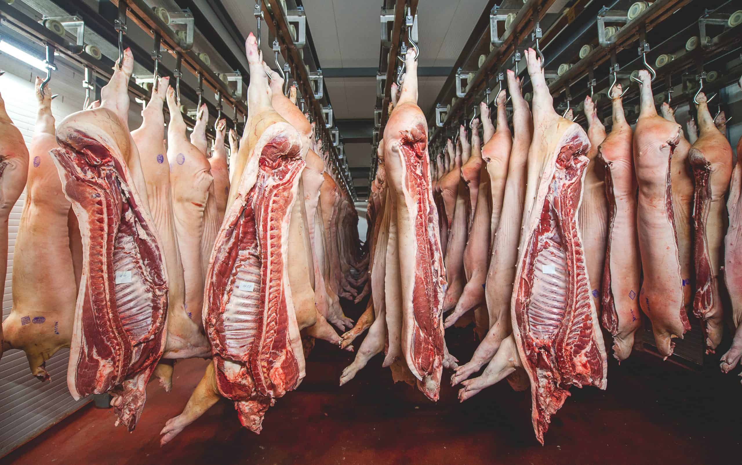 Fleischfabrik Schlachthof Fleisch