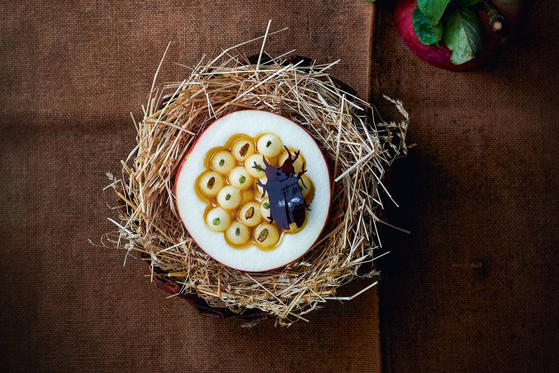 rp289-spst-die-letzten-125-Jahre-12