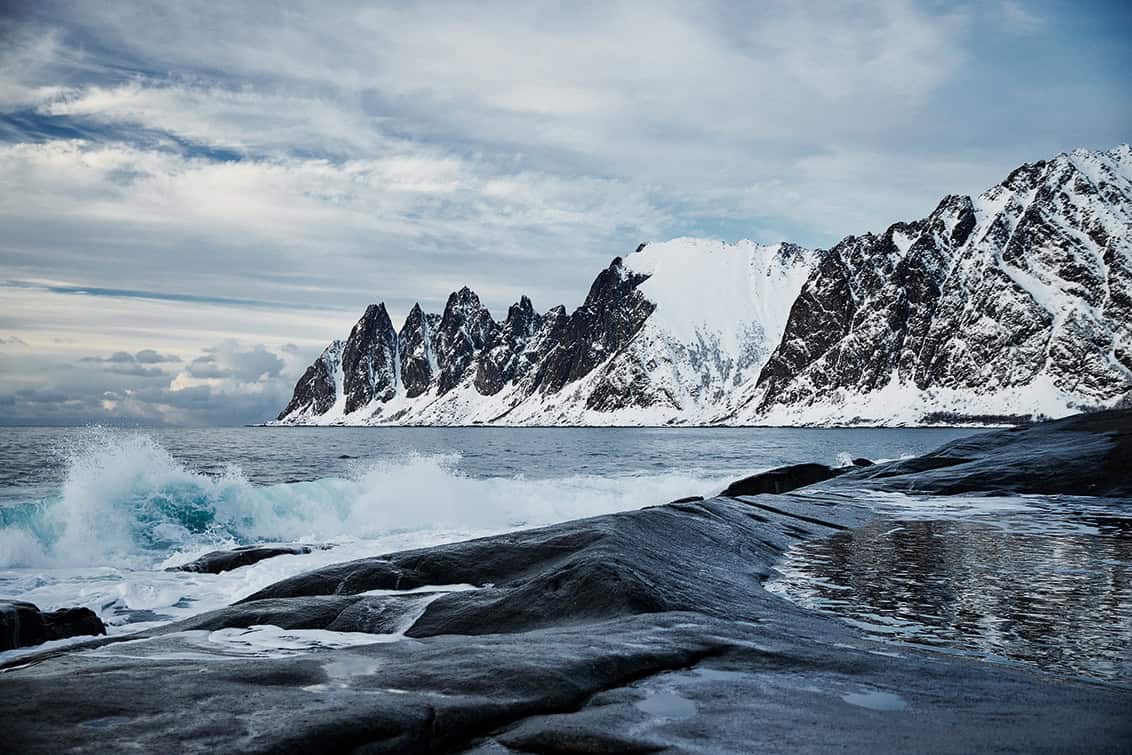 rp290-pr-NSFC-Antoniewicz-1