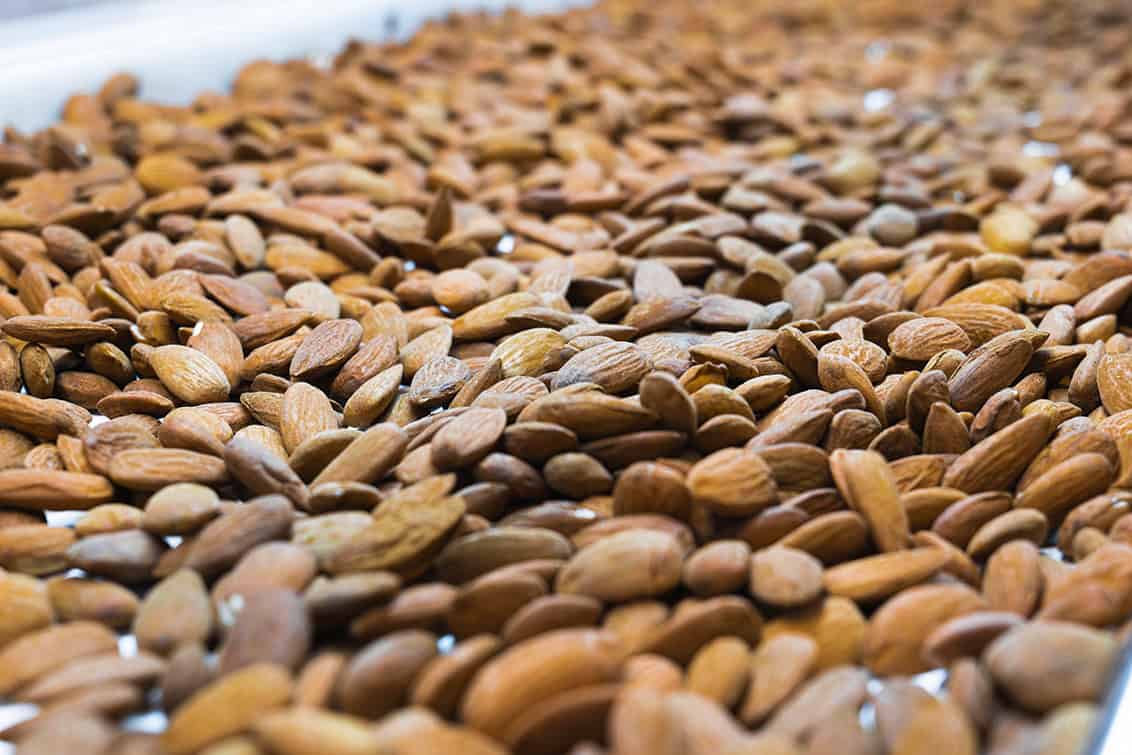 rp290-pr-european-almond-1