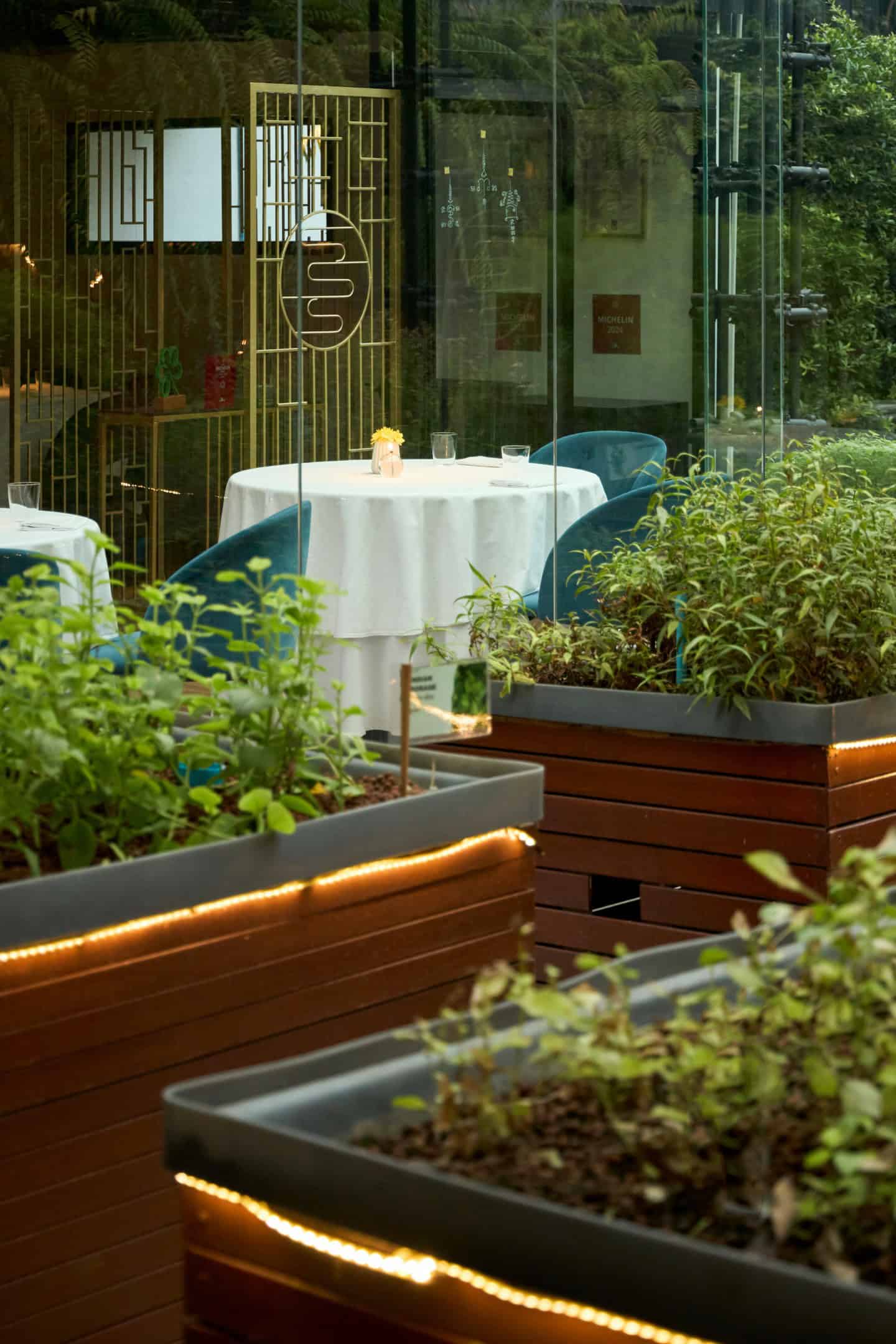 Das Thema Grün zieht sich durch | Foto: Haoma Bangkok