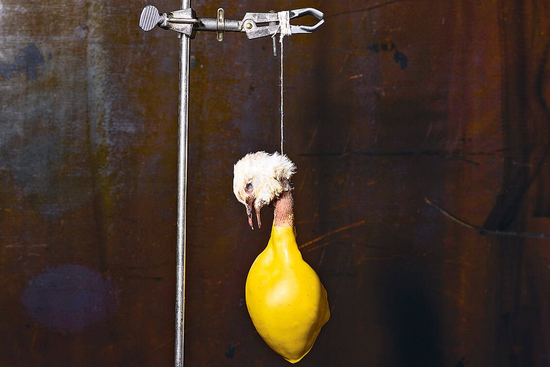 rp291-inspi-alchemist-1