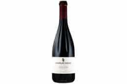 rp291-wdm-pinot-noir-5-260x173