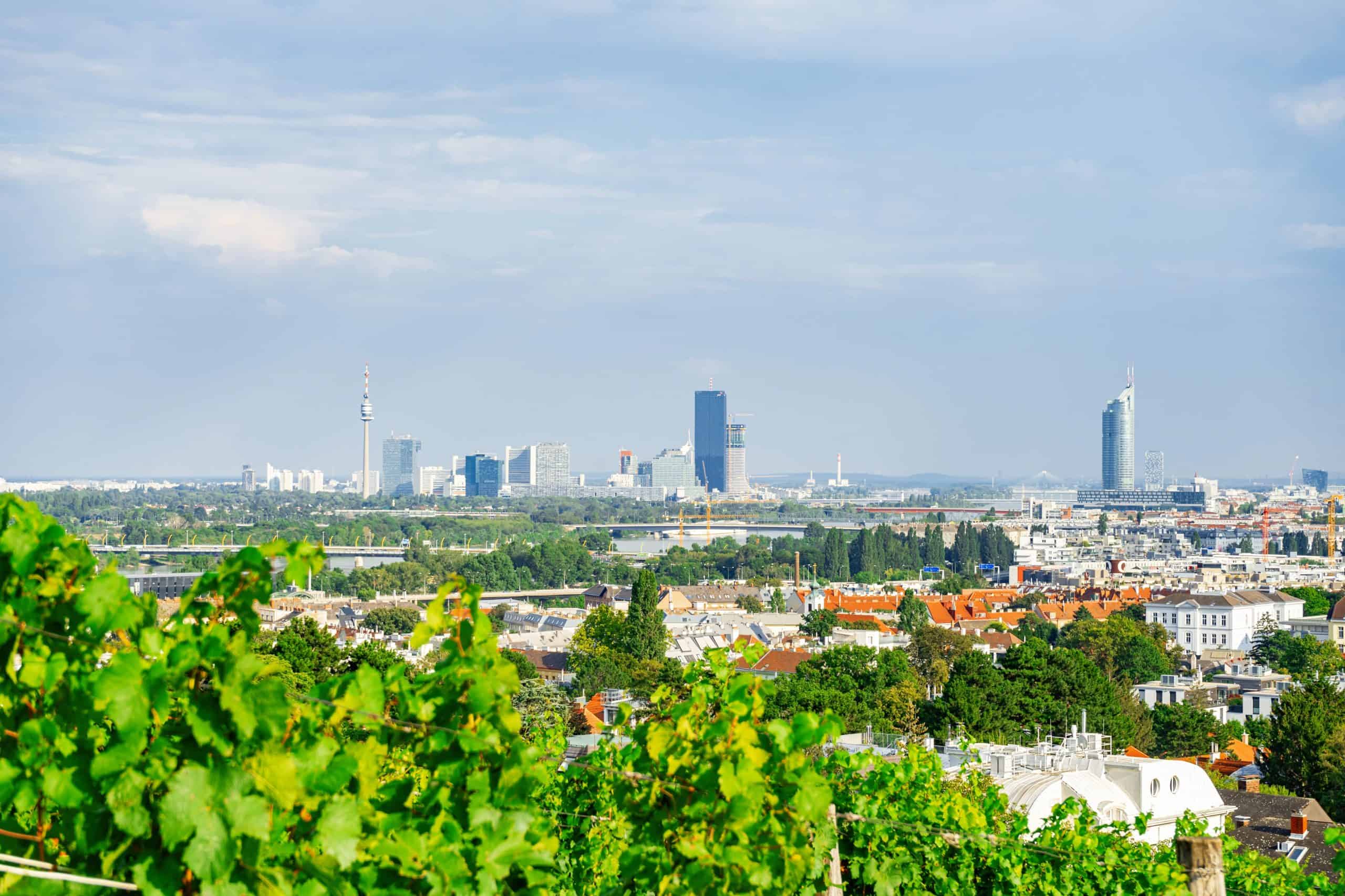 Das Stadtweingut ist in Wien sehr beliebt