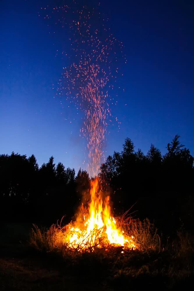 shutterstock_2465764363