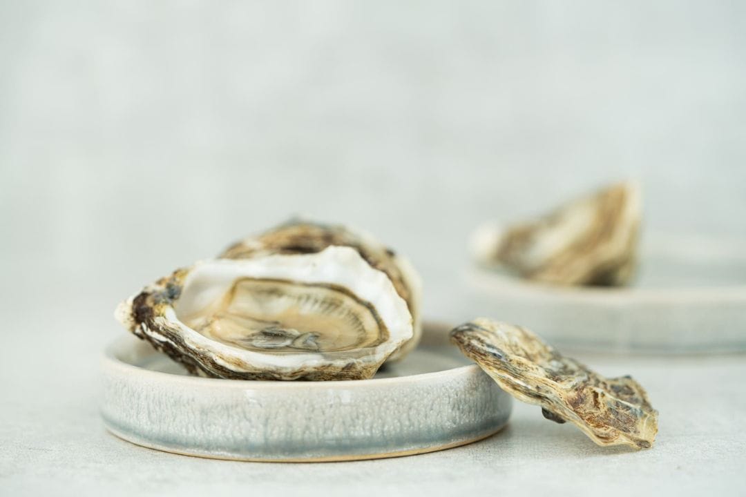 Austern von Havelland Frischdienst