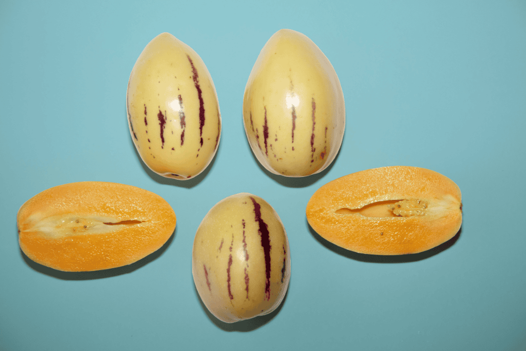 Bild von der Pepino Frucht