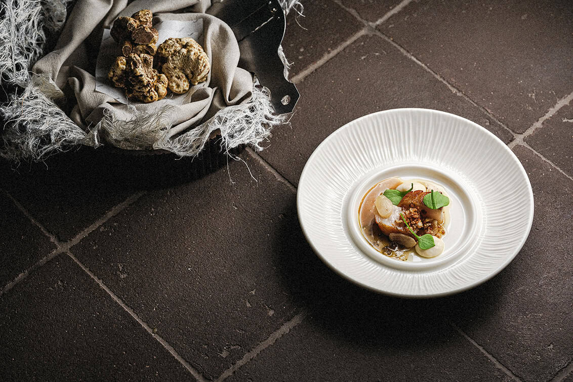 rp292-cs-nick-bril-4