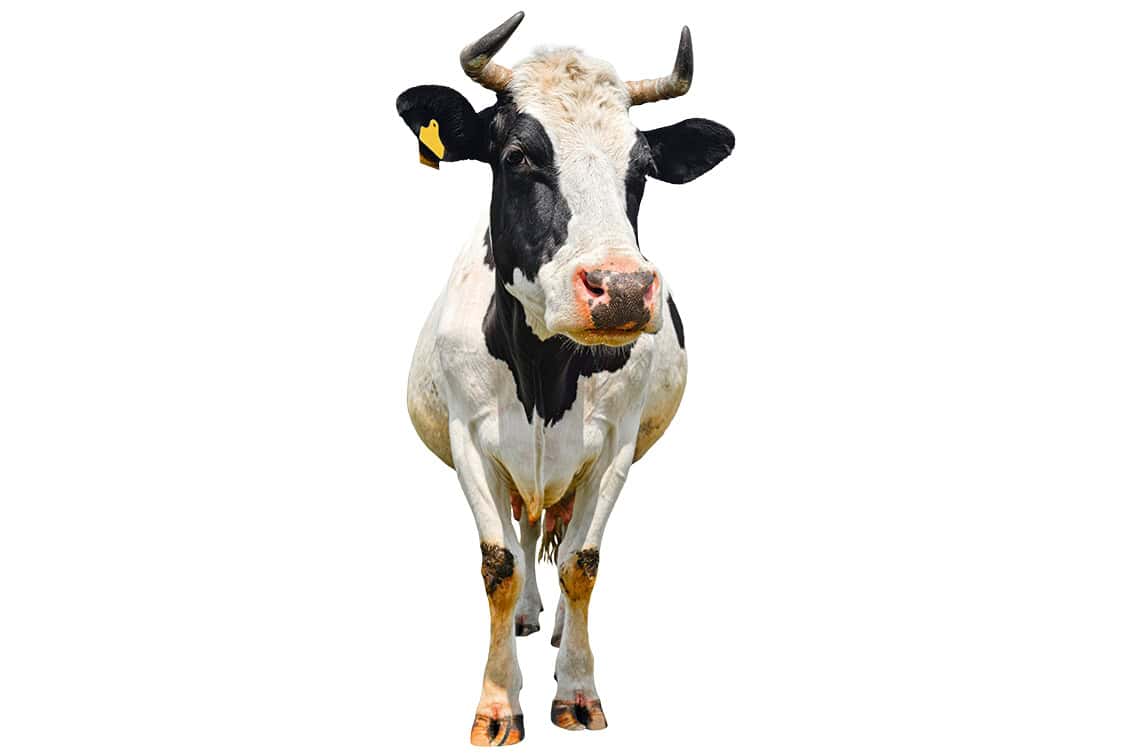 rp292-fb-glaubensfrage-26